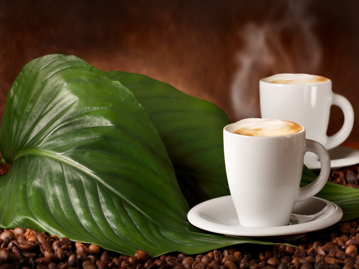 A journey of Coffee- from planting to&nbsp;roasting